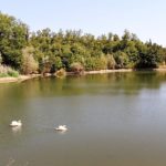 agriturismo con lago di pesca sportiva a Città di Castello